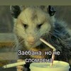Логотип телеграм канала @facultymem — Факультет мемов