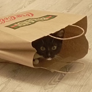 Логотип телеграм канала @fail_news — Не_удачный опыт