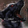 Logo of telegram channel fairixis — CombatTeamᵒᶠᶠ🩸