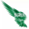 لوگوی کانال تلگرام faisal487 — Faisal alotaibi