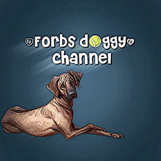 Логотип телеграм канала @fakctpet — Forbs.Doggy🪐