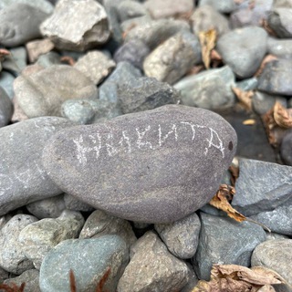 Логотип телеграм канала @fake77iceberg — ICEBERG в деле