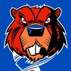 Логотип телеграм канала @fakelfk — Факел Трансферы / Новости