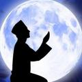 Telegram channel FAKTA ISLAM logo
