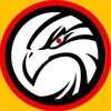 شعار قناة تلجرام falc313 — الشاهين 🦅