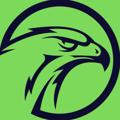 Telegram channel FALCÃO PALPITES logo