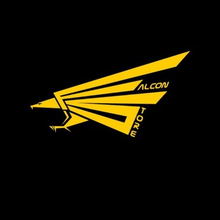 Logo saluran telegram falcon_storee — falcon storee