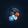 Telegram channel Falcone logo