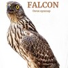 Telegram channel FALCON Овчи кушлар🇺🇿 logo