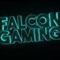 Logotipo del canal de telegramas falcongamingseller - Falcon Gaming