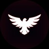 Logo of telegram channel falconintel — falcon
