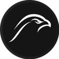 Logo saluran telegram falconmasterstg — Falcon Fx Trading Guidance 📈📉
