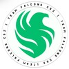 Логотип телеграм канала @falconscs2ru — Team Falcons CS2