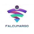 Logo saluran telegram falcunargo — بکاپ کلاینت پرو/فالکن ارگو/دارک تونل/وی پی ان/vpn