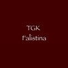 Логотип телеграм канала @falistina09 — Falistina