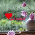 لوگوی کانال تلگرام falkadeanil — 💜💜فالکده آنیل💜💜