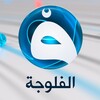 شعار قناة تلجرام fallujahtvpro — قناة الفلوجة - برامج