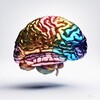 Логотип телеграм канала @fanasova_neuroeducation — Нейропедагогическая подготовка к школе
