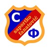 Логотип телеграм канала @fanatovic — Сапортко Фанатовић