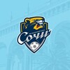 Логотип телеграм канала @fanfcsochi — Фан фк сочи⚽️🐆🐯🦁