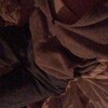 Логотип телеграм канала @fanlinov — семейка