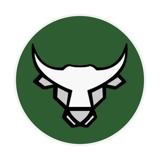 Логотип телеграм канала @fans_fckk — News Bulls | ФК «Краснодар»