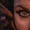 Логотип телеграм канала @fantastic_shepherds — Фантастические овчарки и где они обитают 🐾