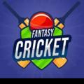 Logo saluran telegram fantasy_cricket_production_ipl — Fantasy cricket production