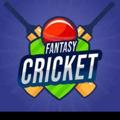 Telegram channel Fantasy cricket production logo