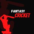 Logo saluran telegram fantasycricketgp — Fantasy Cricket