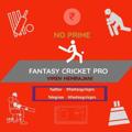 Logo saluran telegram fantasycricpro — Fantasy Cricket Pro🏏 (Viren Hemrajani)