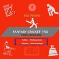 Telegram channel Fantasy Cricket Pro🏏 (Viren Hemrajani) logo