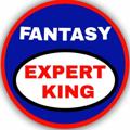 Logo saluran telegram fantasyexpertking12 — FANTASY EXPERT KING