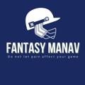 Telgraf kanalının logosu fantasymanav — Fantasy Manav