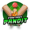 Logo saluran telegram fantasypanditg — Fantasy Pandit- #1 Choice For Prime