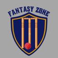 Logo saluran telegram fantasyzoneofficiall — Fantasy Loss Cover GL