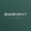 Логотип телеграм канала @farforest — Farforest - питомник редких растений 🌱