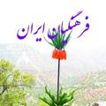 Logo saluran telegram farhangiyane_iran — فرهنگیان ایران