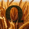 Логотип телеграм канала @farmcs2qqq — ФЕРМАЛОГИЯ CS2 🌾