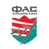 Логотип телеграм канала @fas_rt — «ФАС-ТАТАРСТАН» Федерация авиамодельного спорта