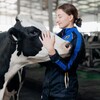 Telegram channel Увлекательные коровы 🐄 logo
