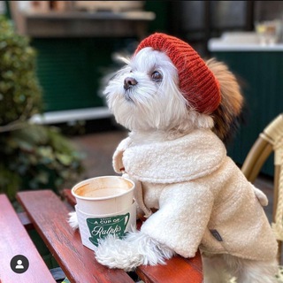 Логотип телеграм канала @fashionpakula — FASHION PAKULA