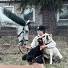 Логотип телеграм канала @fastanyflash — ʍиᴩ ᴦᴧᴀɜᴀʍи ᴄᴏбᴀᴋи🧿