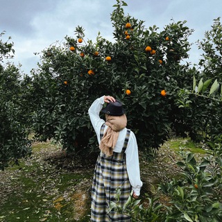 لوگوی کانال تلگرام fatemehjalaali — 🦋فاطمه جلالی🦋