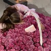 Логотип телеграм канала @fatieamor — fatieamor | бабочки не спят