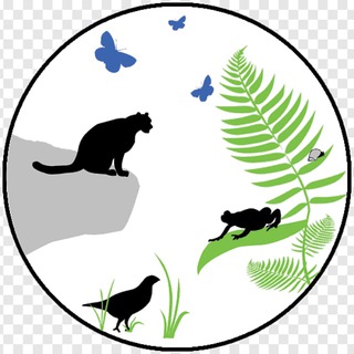 Логотип телеграм канала @fauna_ob — Природа | Животные | Фауна