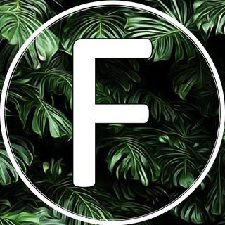 Логотип телеграм -каналу favordis — Favordis
