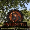 Логотип телеграм канала @favorit25rus — Клуб ФАВОРИТ (РКФ)