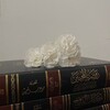 لوگوی کانال تلگرام fawaaaid1 — الفوائد