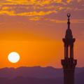 لوگوی کانال تلگرام fawaid46 — Fawā'id | فوائد